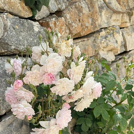 Trulli Resort Aia Piccola อัลเบโรเบลโล ภายนอก รูปภาพ