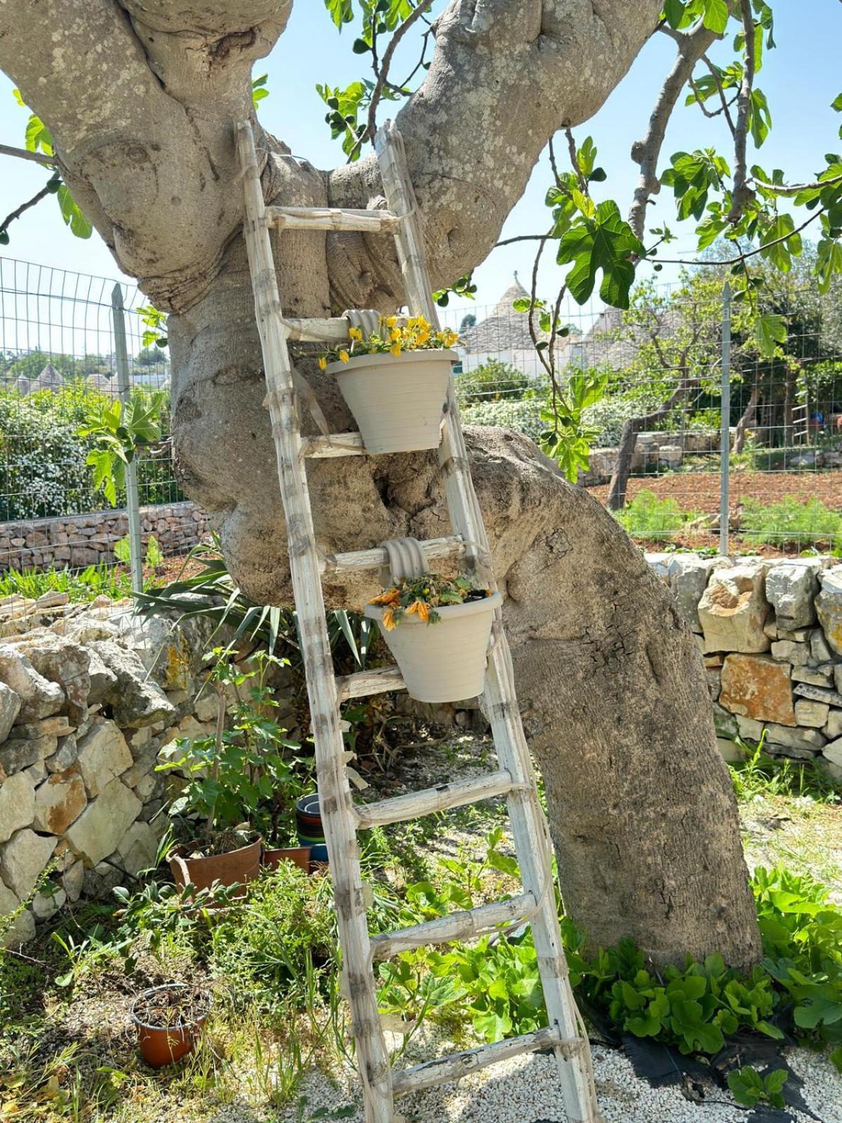 Trulli Resort Aia Piccola อัลเบโรเบลโล ภายนอก รูปภาพ