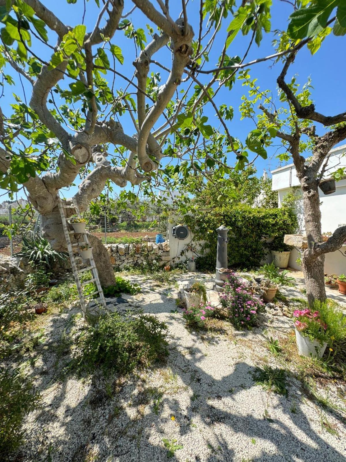 Trulli Resort Aia Piccola อัลเบโรเบลโล ภายนอก รูปภาพ