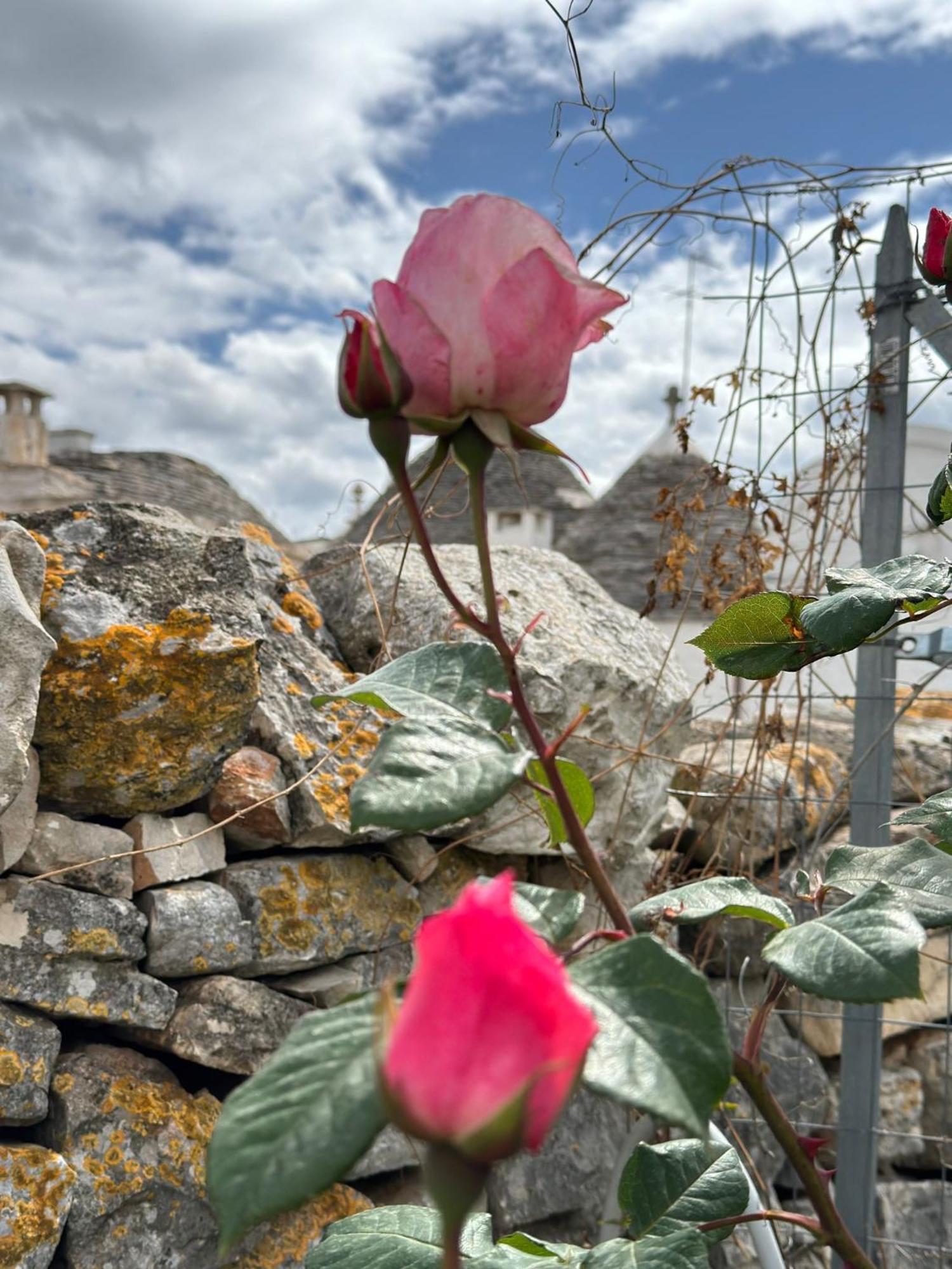 Trulli Resort Aia Piccola อัลเบโรเบลโล ภายนอก รูปภาพ