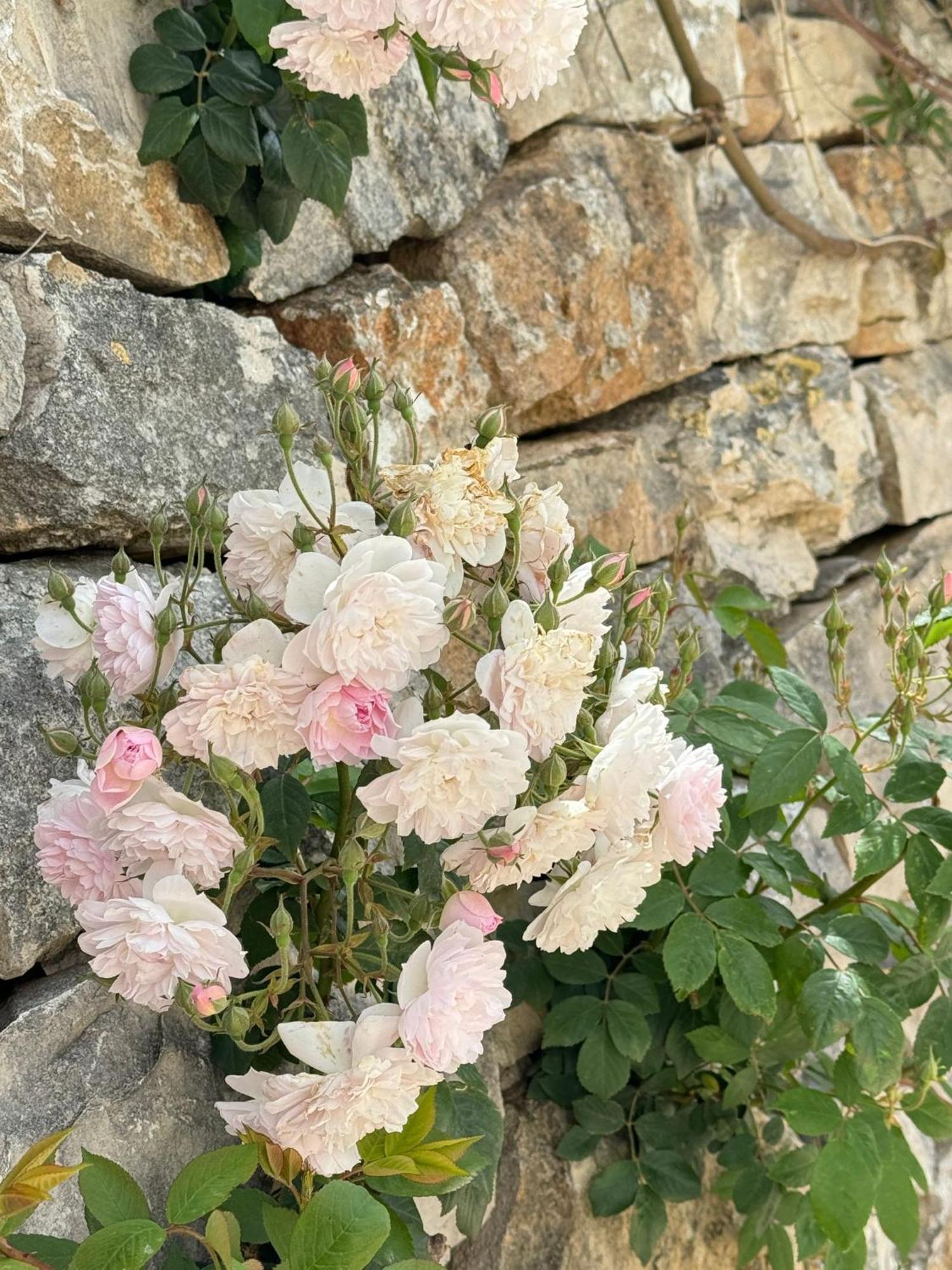 Trulli Resort Aia Piccola อัลเบโรเบลโล ภายนอก รูปภาพ